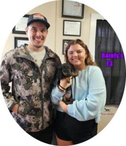 dachshund puppies for sale